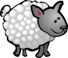 sheep