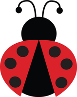 ladybug