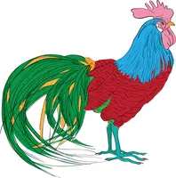 rooster