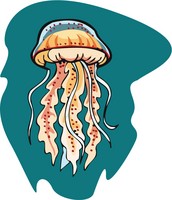 jellyfish