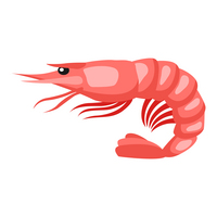 shrimp