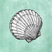 shell